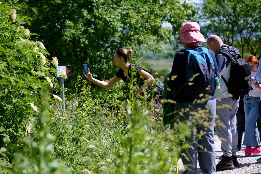 Igrifikacija u turizmu kao motiv dolaska grupe na tematsku turu