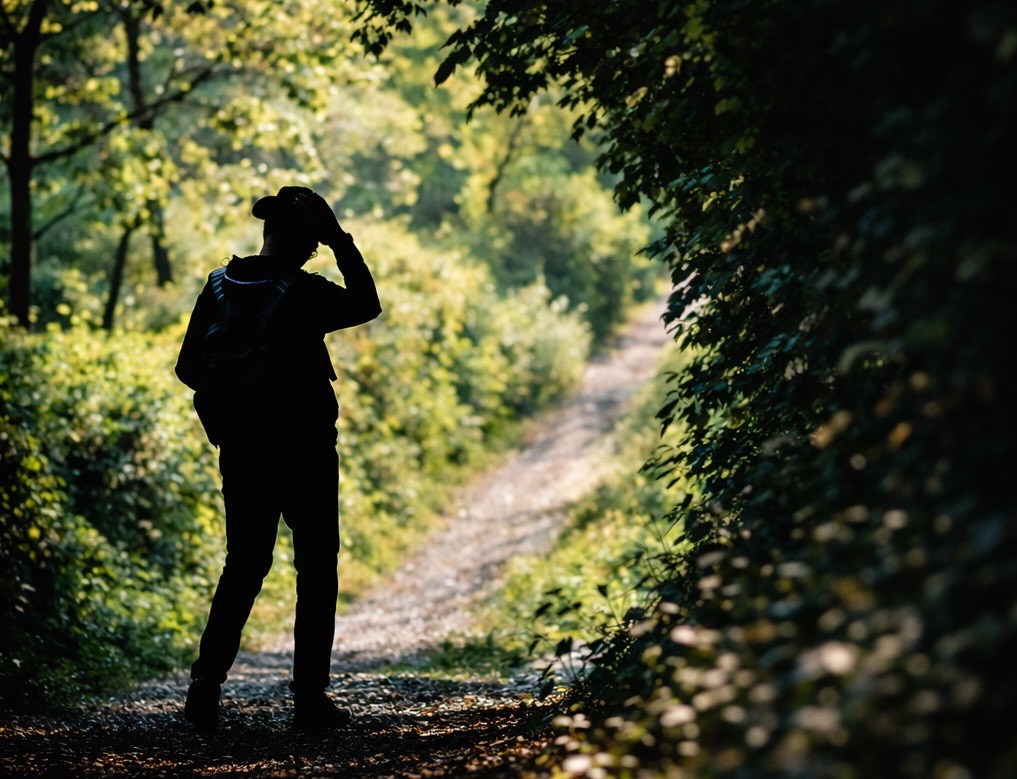 Od uređenja apartmana do stvaranja doživljaja u okolici